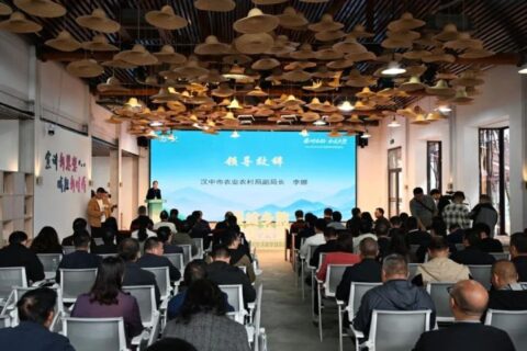 “鄉”聚力量·“創”新未來 丨 “秦嶺鄉韻 和美共塑”專題活動在火燒店鎮舉行